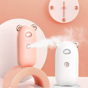 Portable Facial Humidifier-Dry Skin Solved!